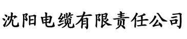 乐看飞飞最新版本电缆厂logo